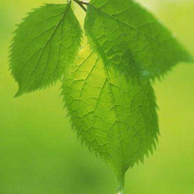 PG电子中国官方网站