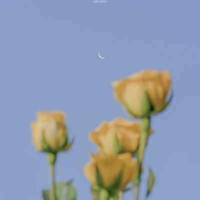 Kaiyun(云开)体育App(官方)