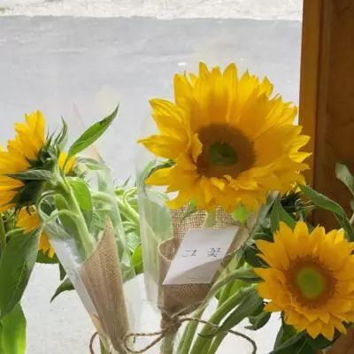 博鱼·综合体育APP下载安装